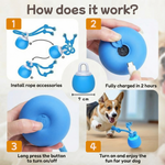 BouncyBounce™ - Give your dog the joy it deserves
