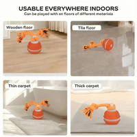 BouncyBounce™ - Give your dog the joy it deserves