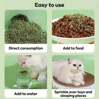 CatNip™ - The 100% organic catnip