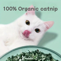 CatNip™ - The 100% organic catnip