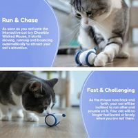 PlayMate™ - Let your cat hunt, play and purr