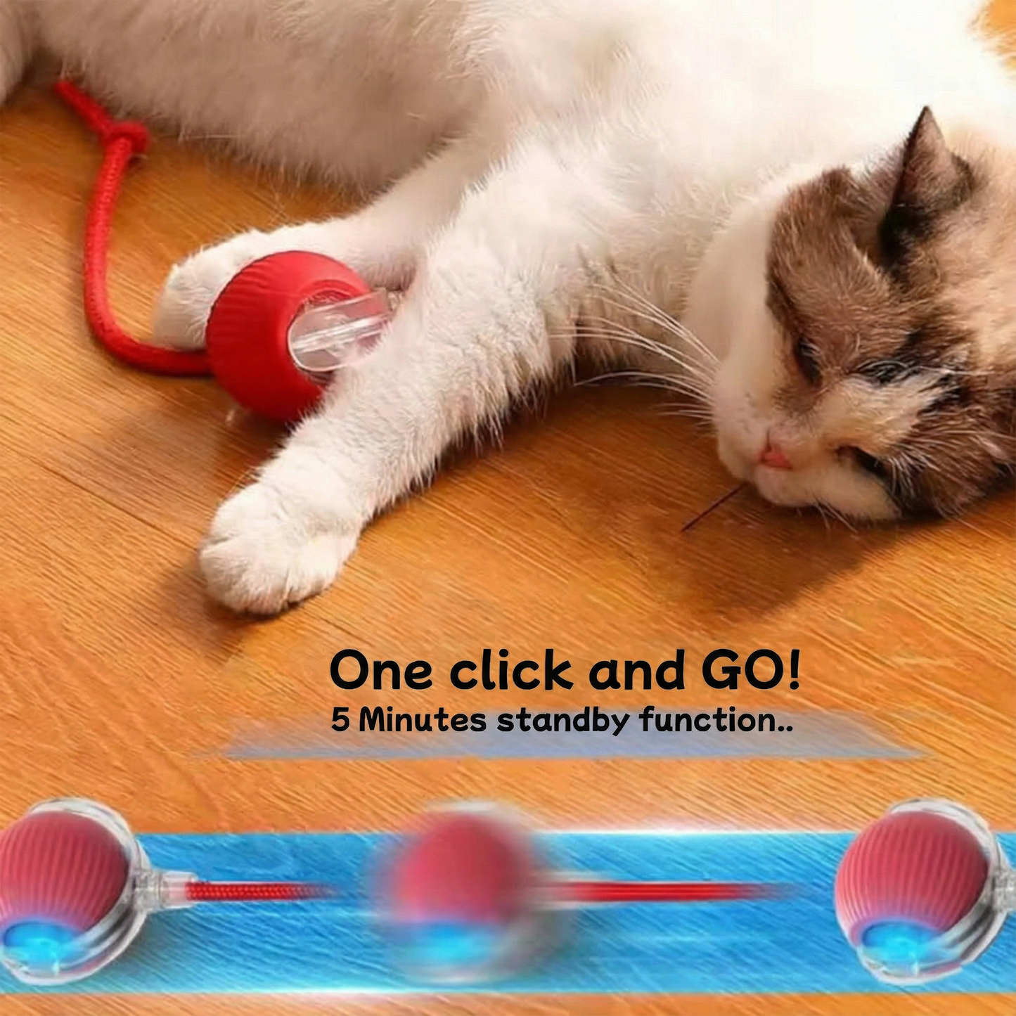 ZiggyZaggy™ – The smart toy that keeps your pet active and happy