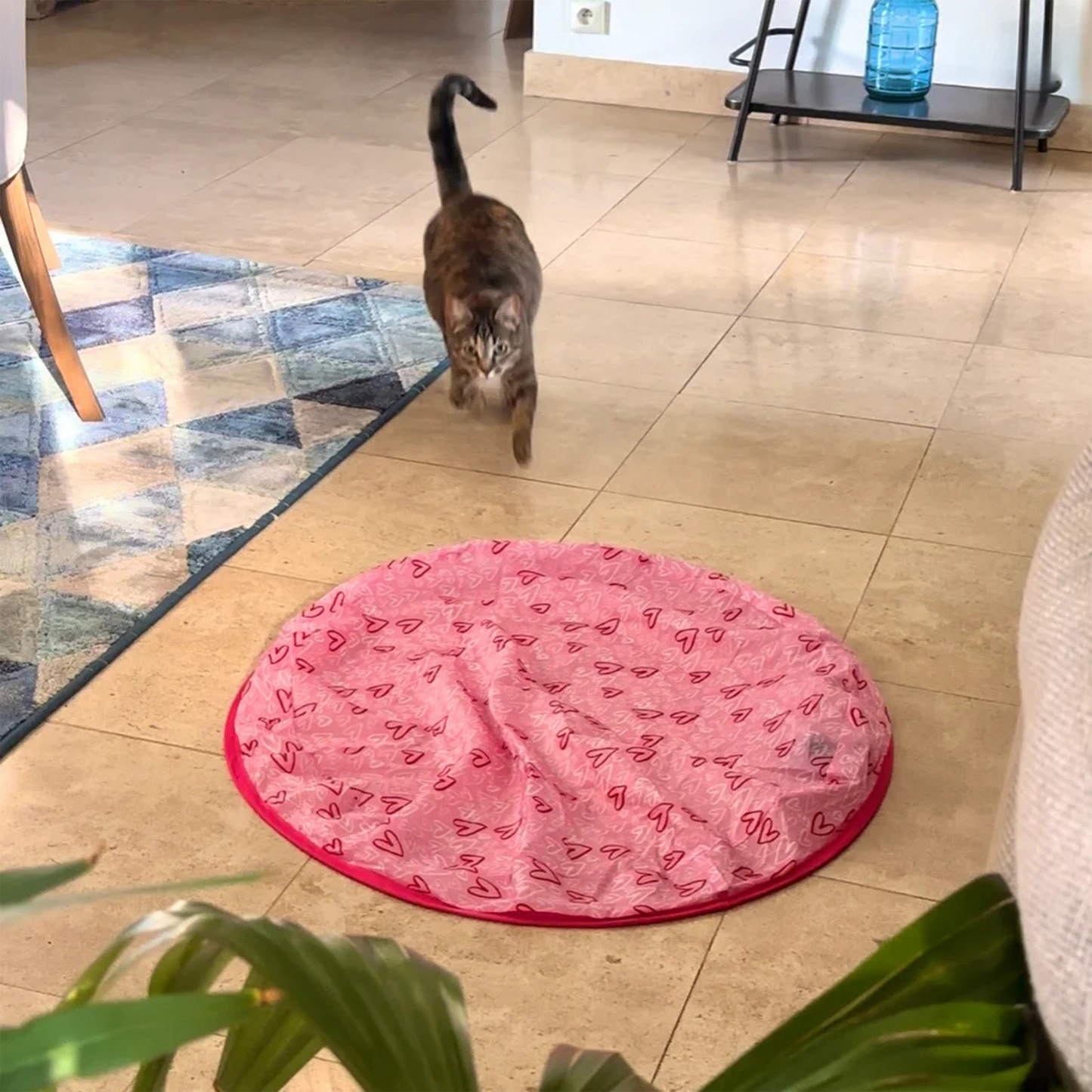 HappyCat™ - The stimulating hunting toy for cats