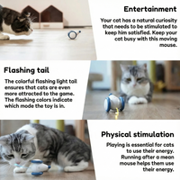 PlayMate™ - Let your cat hunt, play and purr