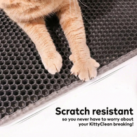 KittyClean™ – Say goodbye to cat litter around the house