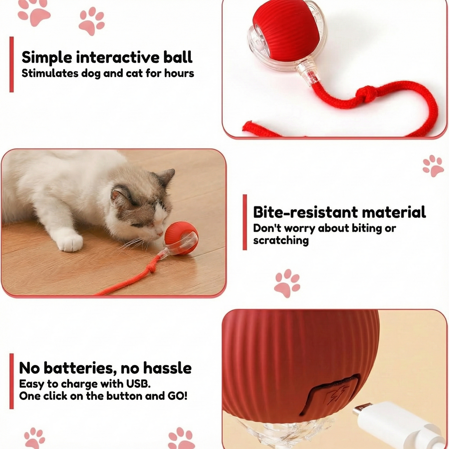 ZiggyZaggy™ – The smart toy that keeps your pet active and happy