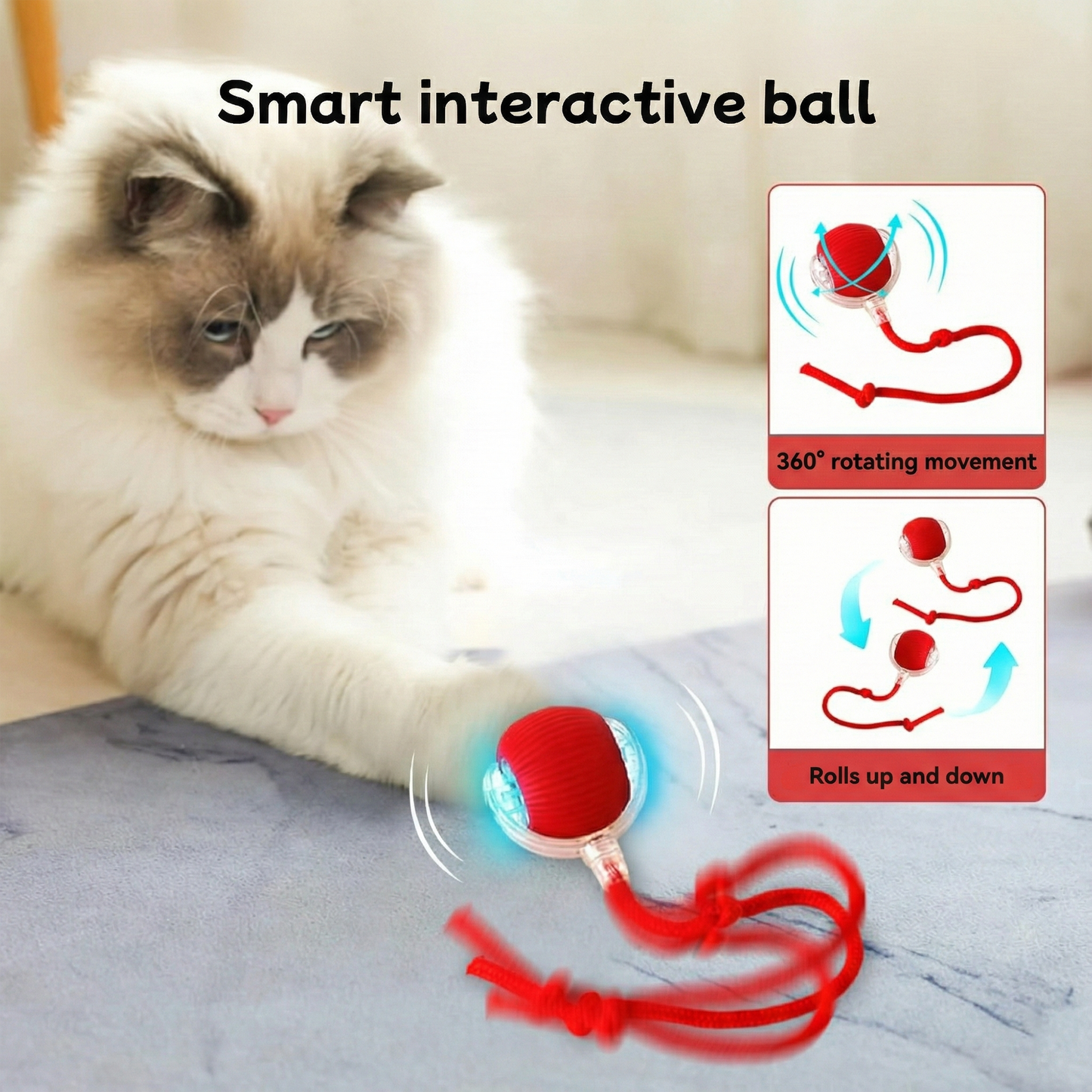 ZiggyZaggy™ – The smart toy that keeps your pet active and happy
