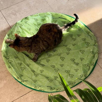 HappyCat™ - The stimulating hunting toy for cats