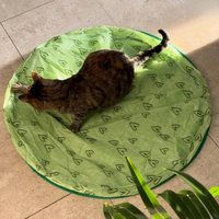 HappyCat™ - The stimulating hunting toy for cats