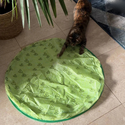 HappyCat™ - The stimulating hunting toy for cats