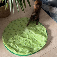 HappyCat™ - The stimulating hunting toy for cats