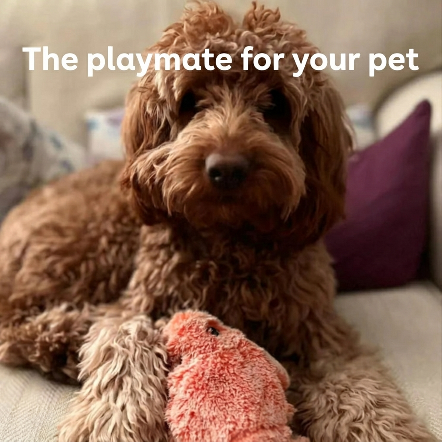 Krabby™ - No more boredom with this interactive toy