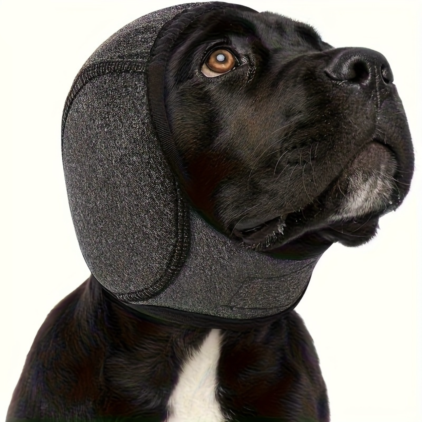 CalmEars™ - Provide your dog with immediate rest and protection