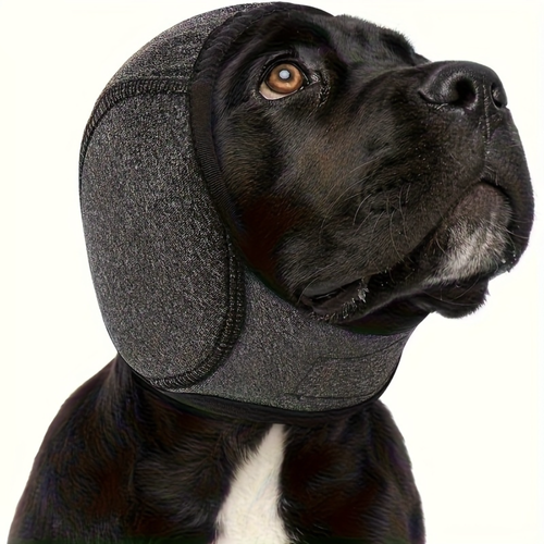 CalmEars™ - Provide your dog with immediate rest and protection
