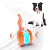 WiggleWag™ – The only ball that keeps your pet busy and happy