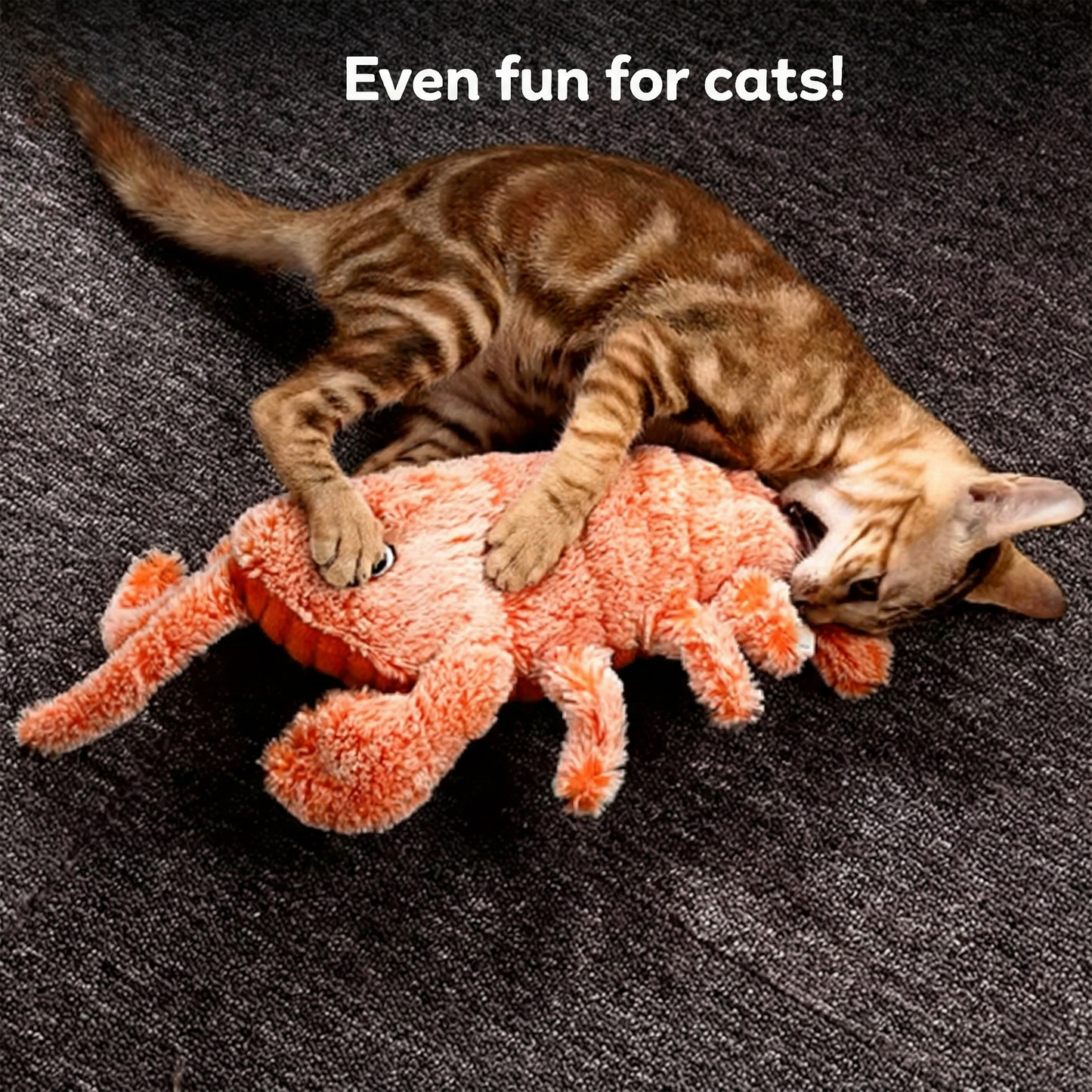 Krabby™ - No more boredom with this interactive toy