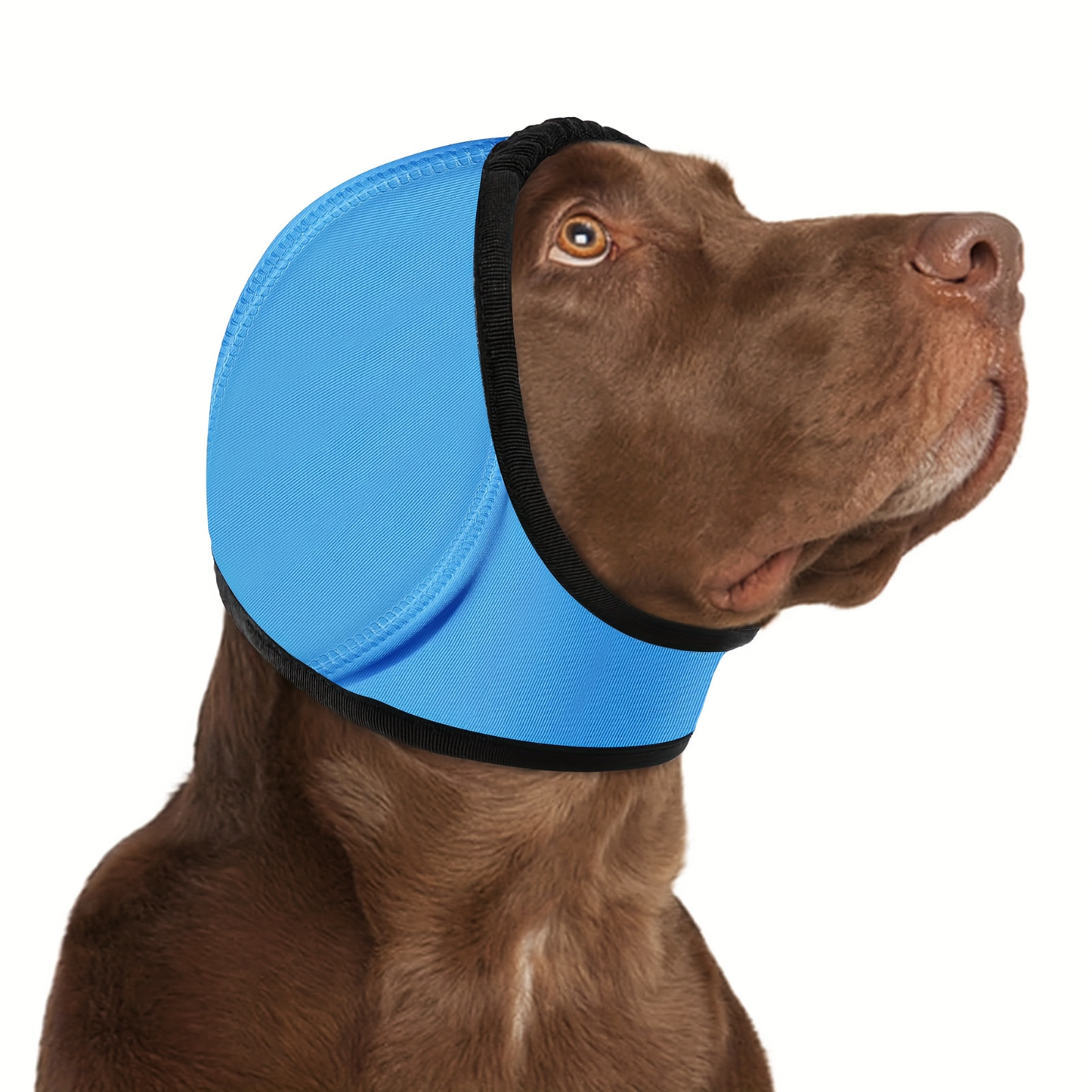 CalmEars™ - Provide your dog with immediate rest and protection
