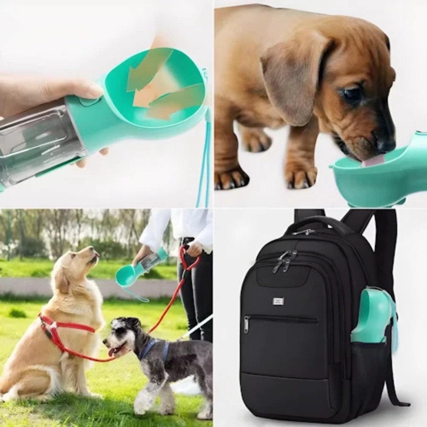 HyrdoBuddy™ - Carefree adventures, with fresh water always within your dog's reach!