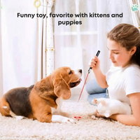 LaserPointer™ - Unlimited fun for you and your pet