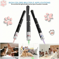 LaserPointer™ - Unlimited fun for you and your pet