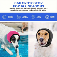 CalmEars™ - Provide your dog with immediate rest and protection