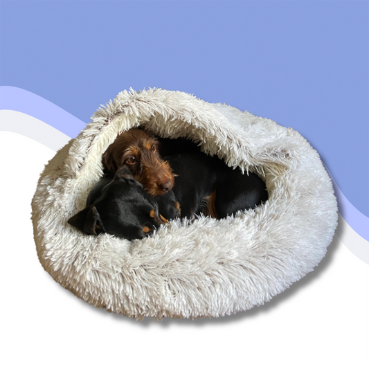 FurryCloud™ - The Ultimate Cosy Spot for Your Pet!