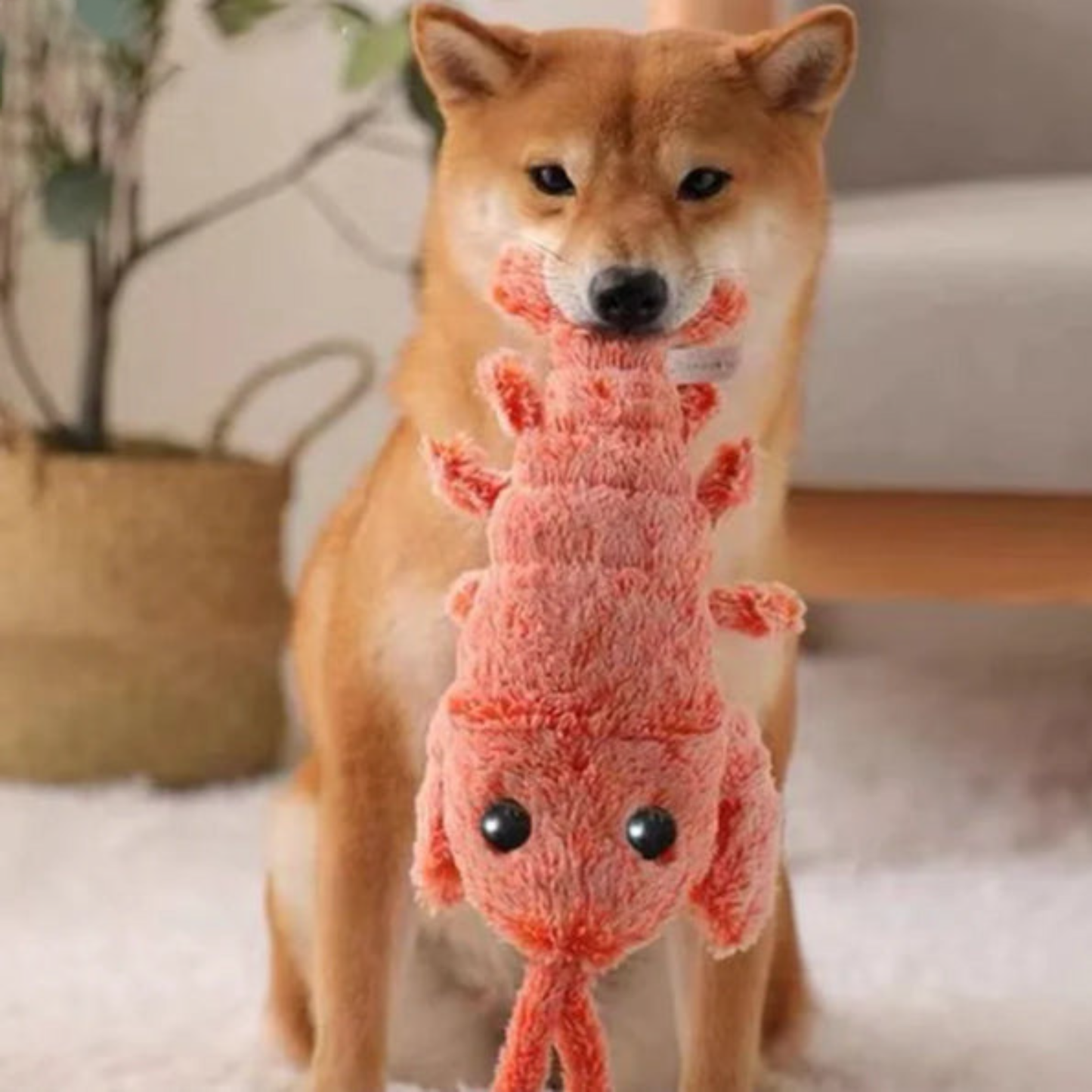 Krabby™ - No more boredom with this interactive toy