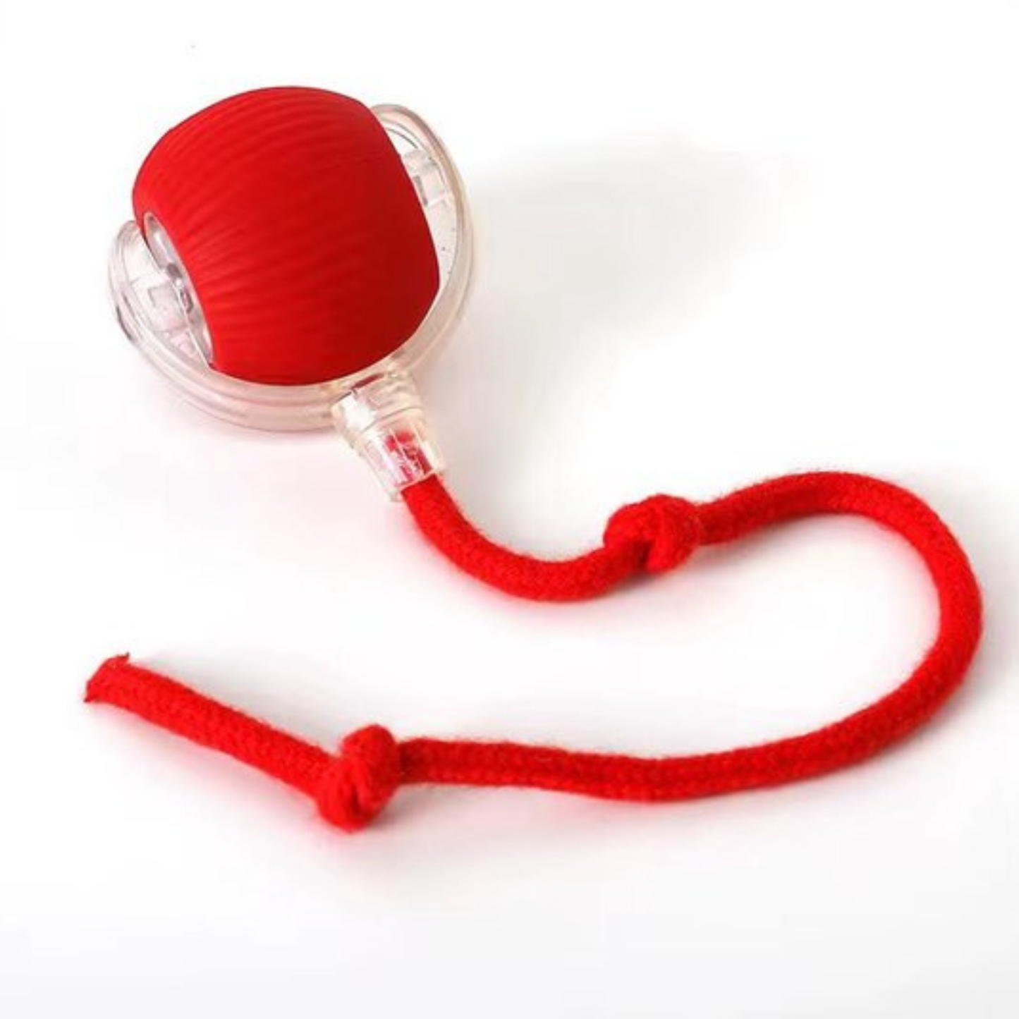 ZiggyZaggy™ – The smart toy that keeps your pet active and happy